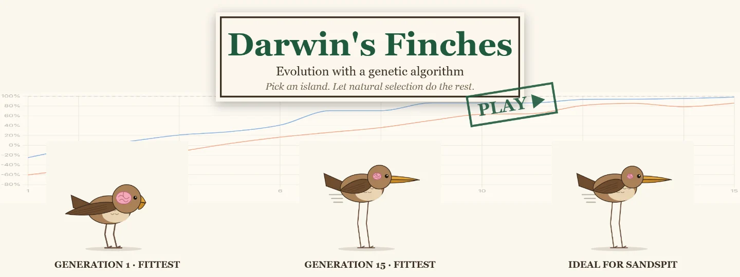 Darwin's Finches - evolve island birds with a genetic algorithm